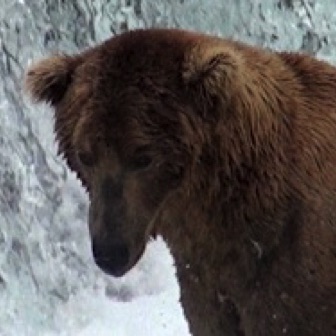 Screen Shot 2016-07-08 at 8.38.06 PM.jpg